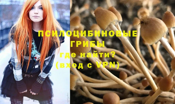 индика Абдулино