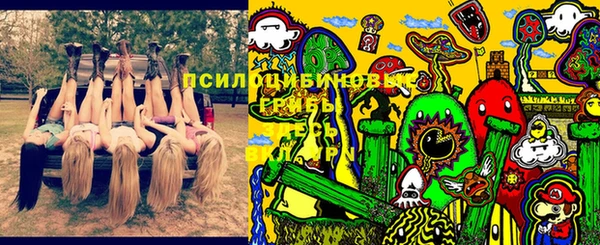 индика Абдулино