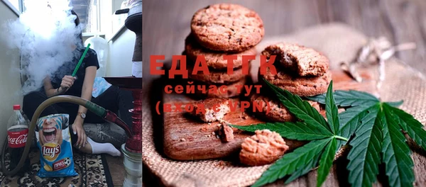 шишки Покачи