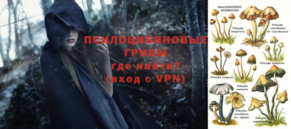тгк Абаза