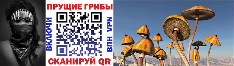 Псилоцибиновые грибы GOLDEN TEACHER  мега ONION  Южа 